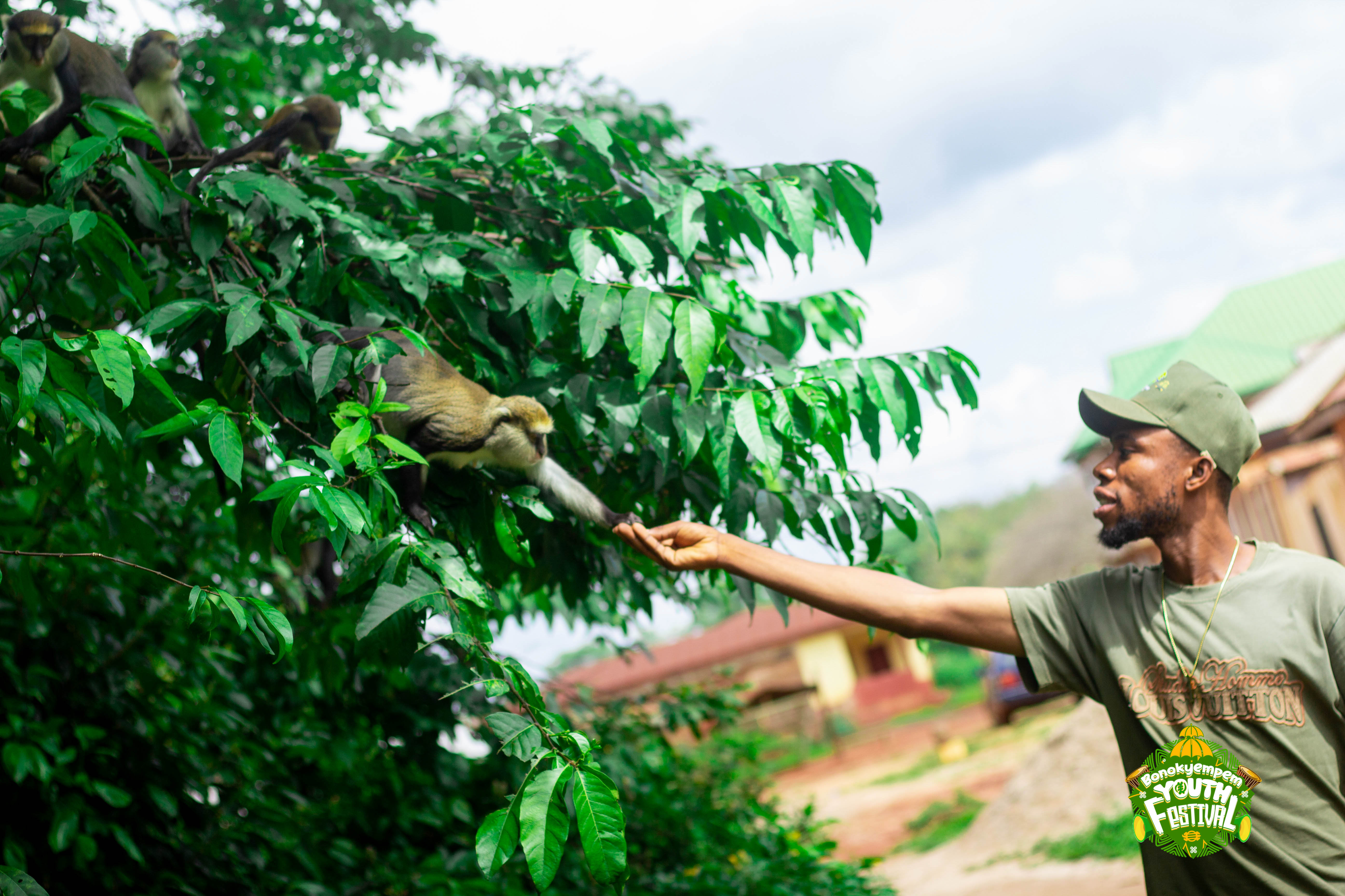 Traditional Bono Art